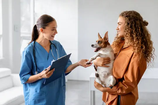Clinica veterinaria urologia