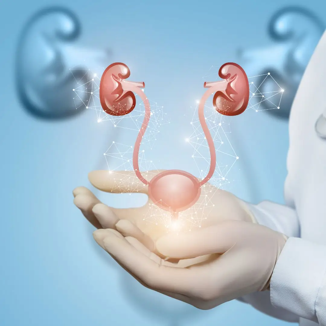 Cursos de especialização em medicina veterinária