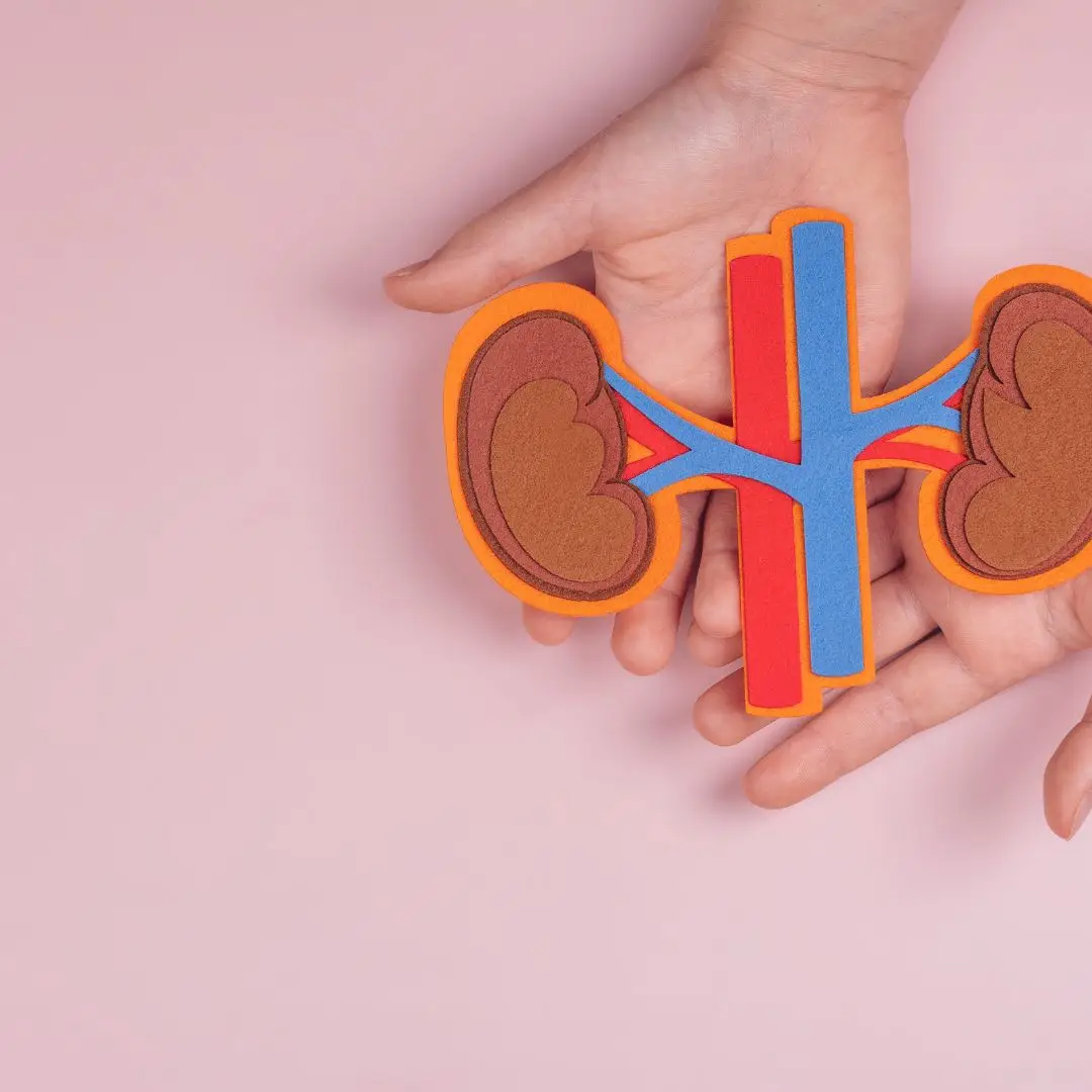 Insuficiência renal em cães