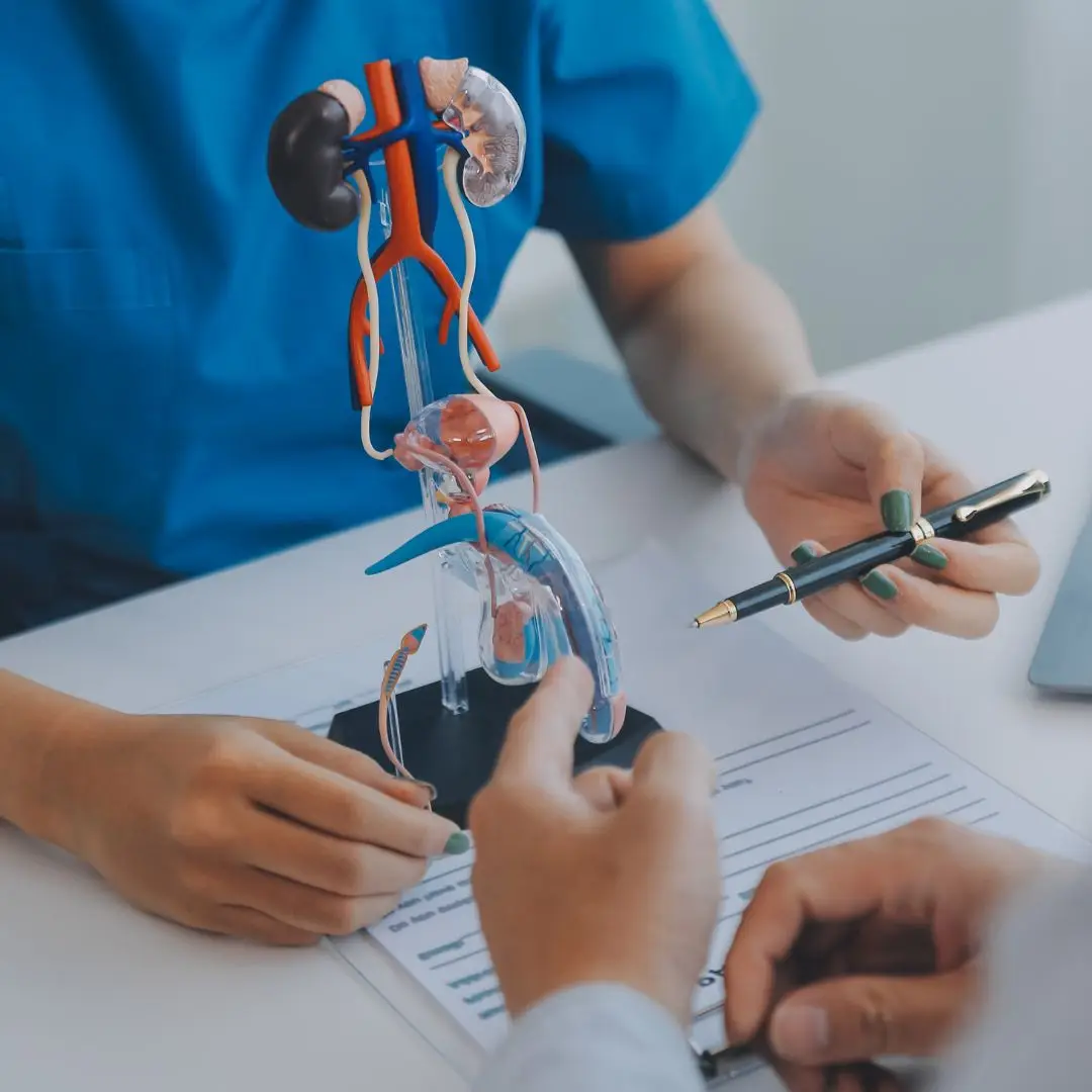 Pós graduação medicina veterinária