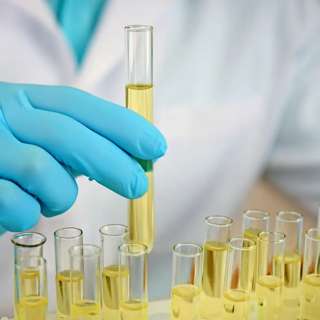 Pós graduação em nefrologia e urologia veterinária em São Paulo