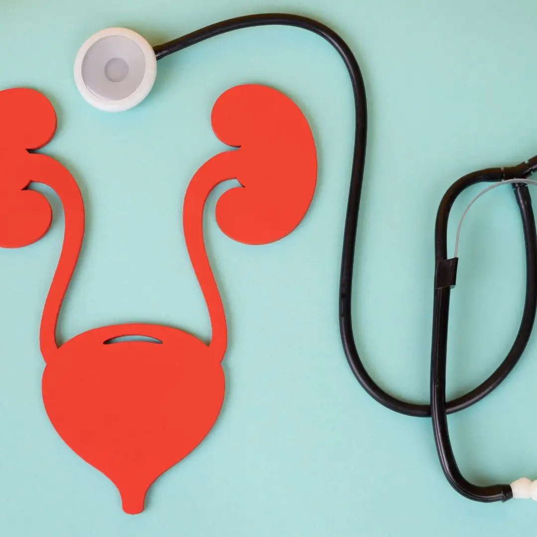 Pós lato sensu nefrologia e urologia veterinária