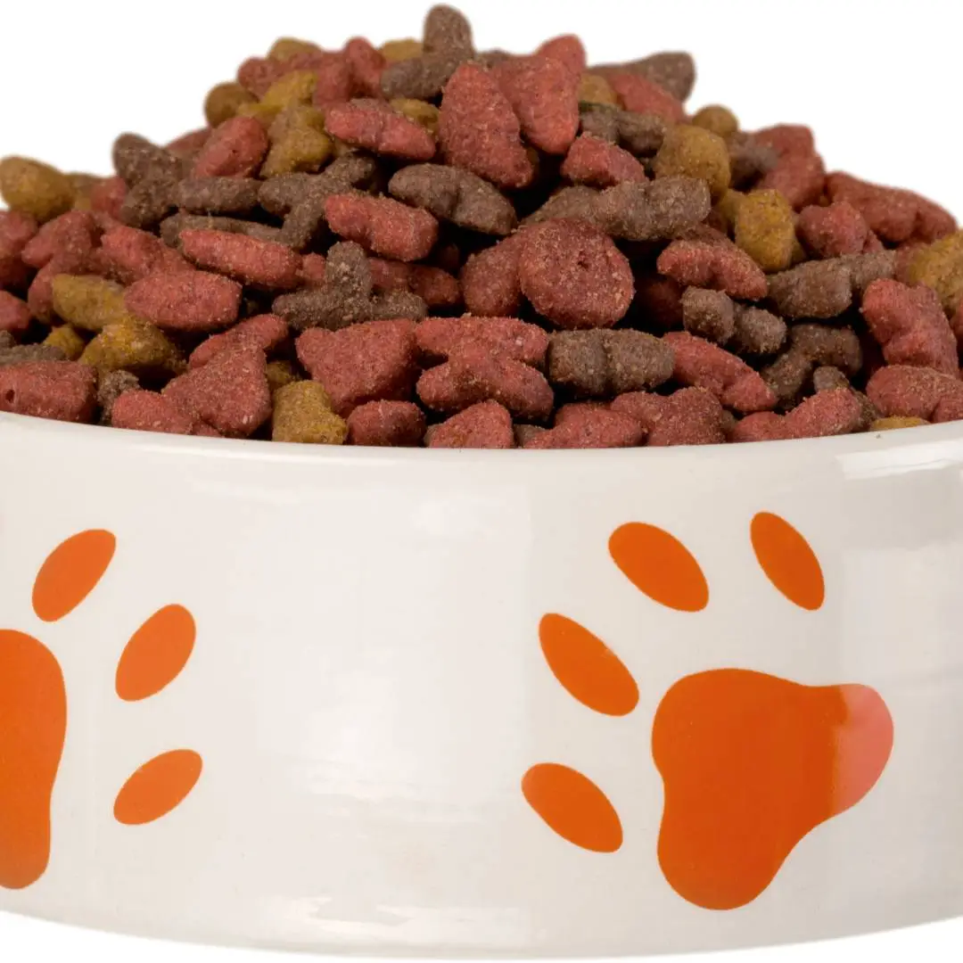 Ração para cachorro idoso