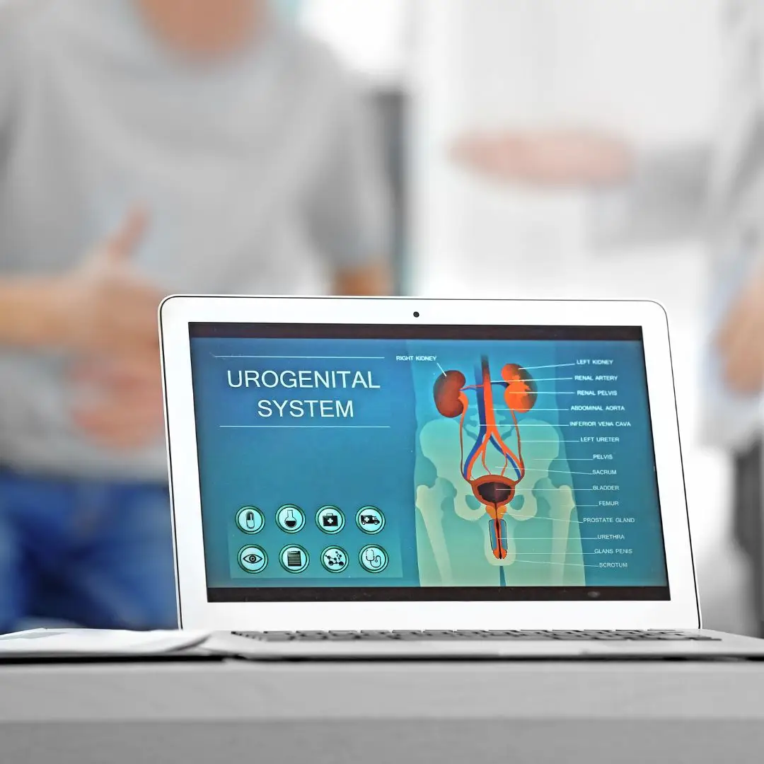 Treinamento online em urologia veterinária em São Paulo